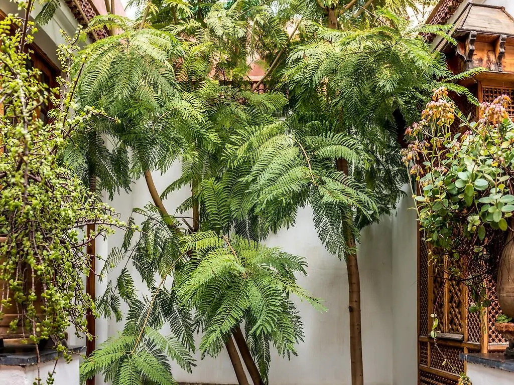 Riad Les Trois Cours Marrakesh